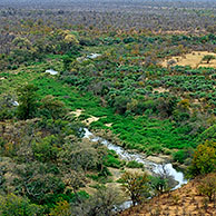 Landschap in het Kruger NP, Zuid-Afrika
