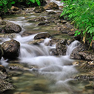 Bergbeekje in bos in de Dolomieten, Italië