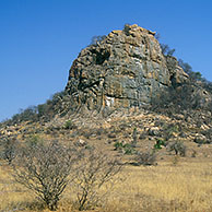 Koppie in de Afrikaanse bush. Koppies zijn heuvels van het stollingsgesteente ryoliet, Kruger Nationaal Park, Zuid-Afrika
