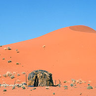 Hut voor rode zandduin in de Kalahari woestijn, Kgalagadi Transfrontier Park, Zuid-Afika
