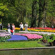 Toeristen wandelen tussen kleurrijke tulpen, hyacinten en narcissen in bloementuin van keukenhof, Nederland
